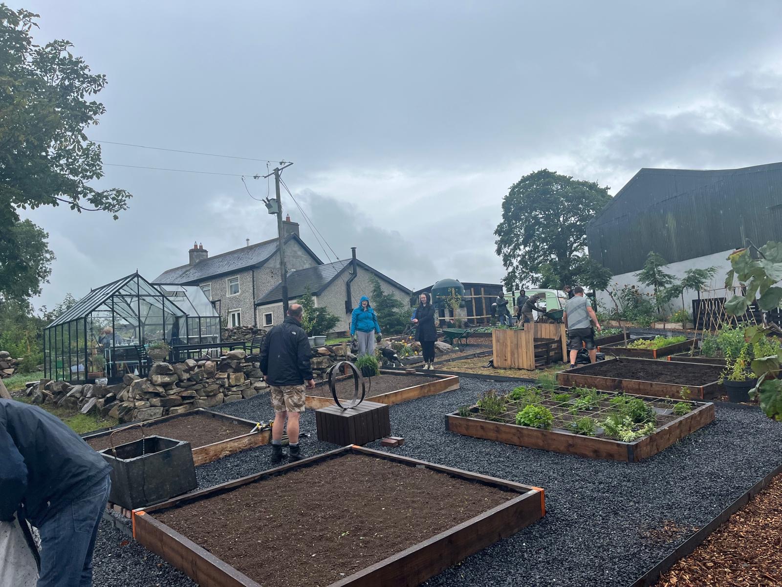 Lush growing plot