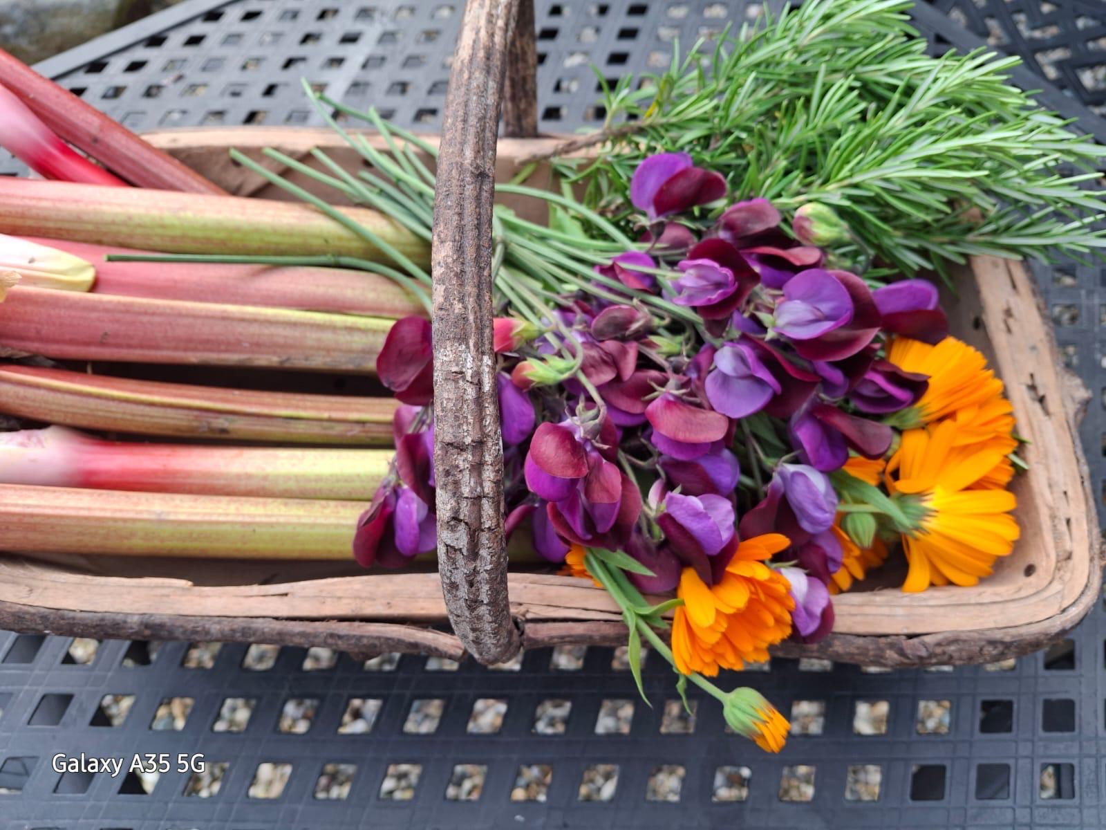 Harvested produce basket